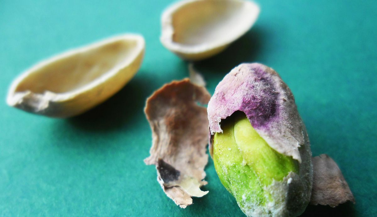 PIstachos, proteína vegetal completa y ecosostenible1