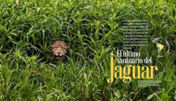 DOBLES 116 127 GEO13 JAGUAR BRASIL 116 117