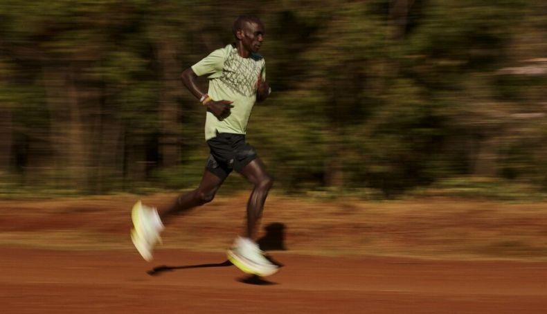 Alphafly Next 2 EKipchoge 