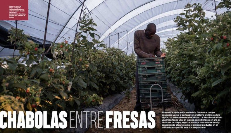 fresas fresas