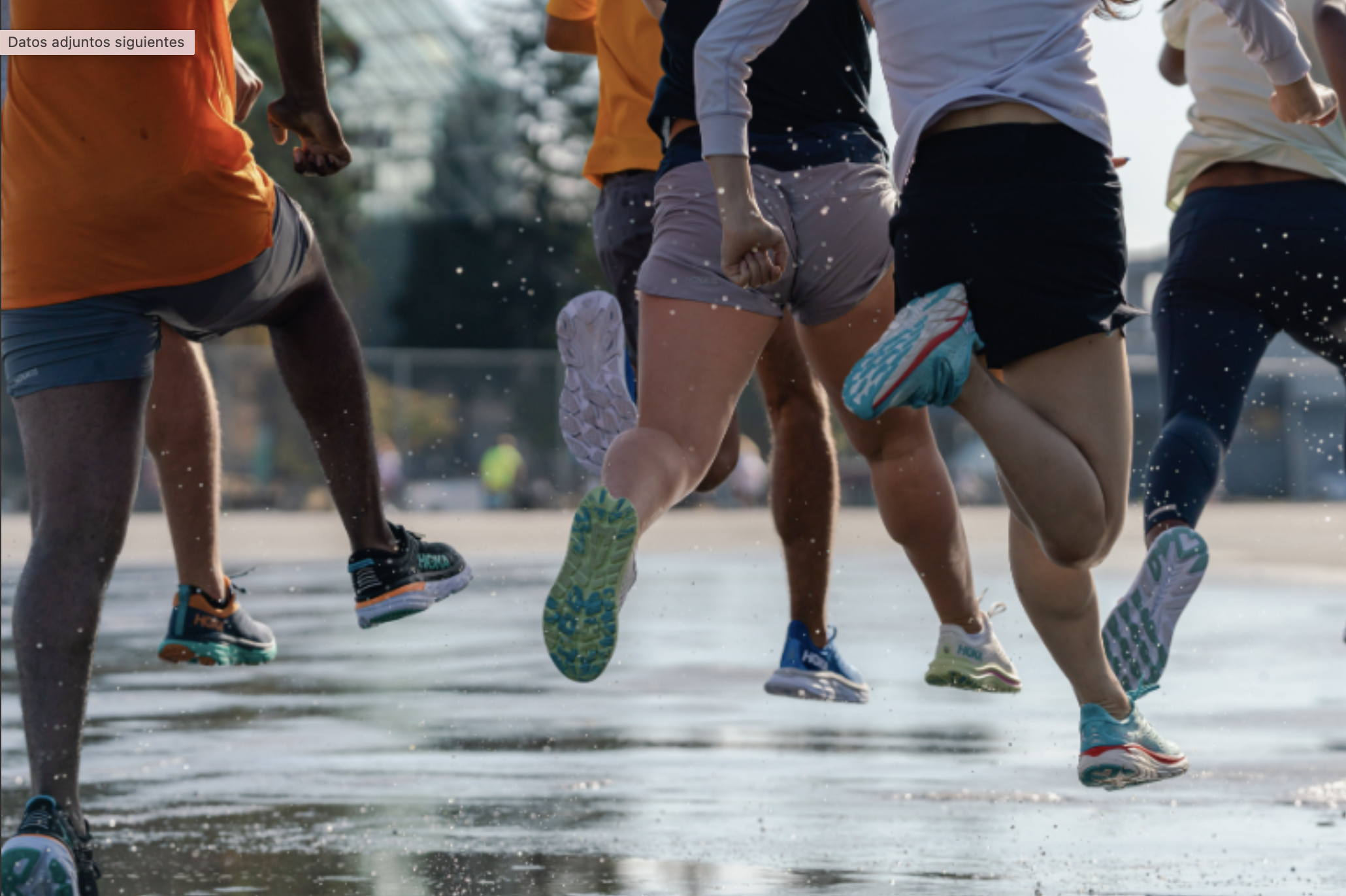 Triatletas, atletas y corredores de montaña eligen modelos muy diversos a la hora de hacer el equipaje para las vacaciones de verano.