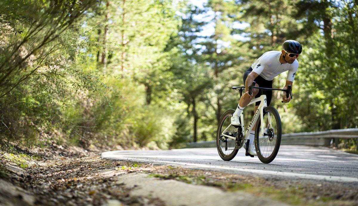 Desde esta perspectiva apenas sobresale el cuadro