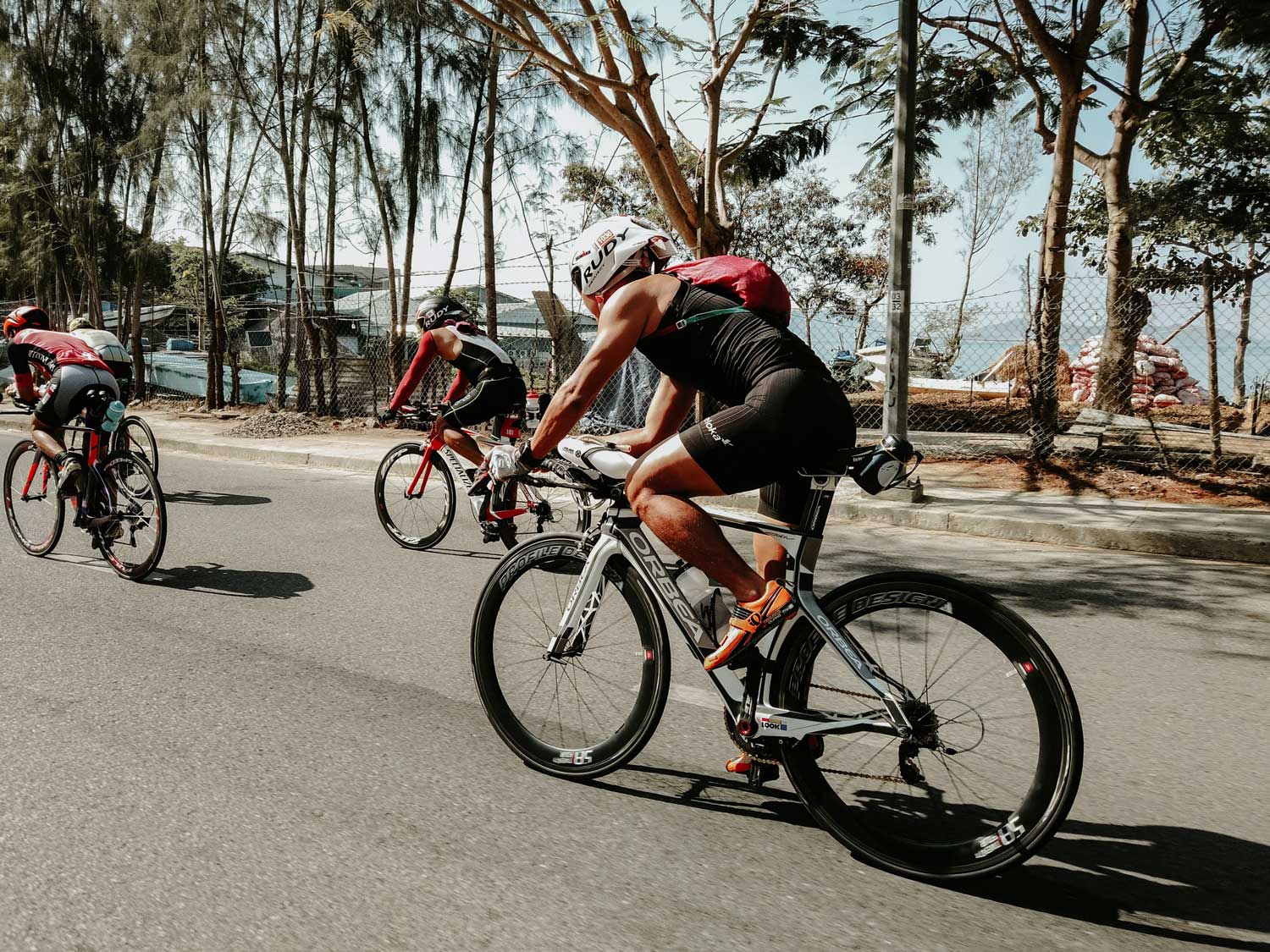 Ciclistas andando en bicicleta con árboles al fondo
