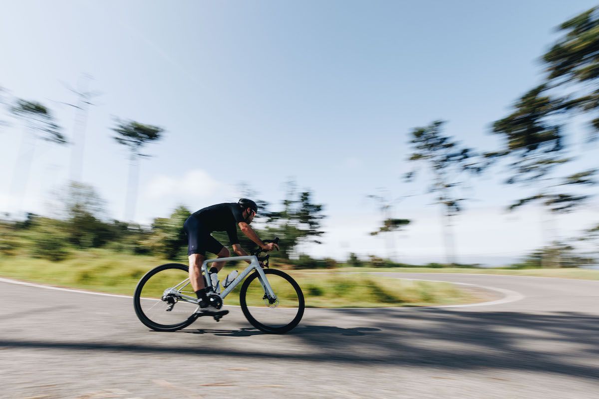 SPECIALIZED ROUBAIS SL8TS14598 copia