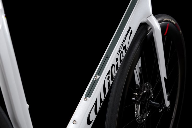 FilanteSL Silver Closeup 17