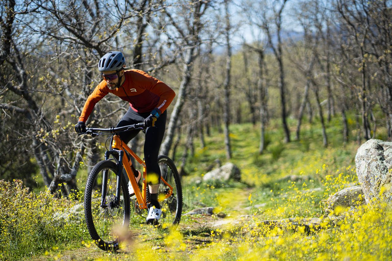 Merida Big.Nine 300 (4) Merida Big.Nine 300 (4)