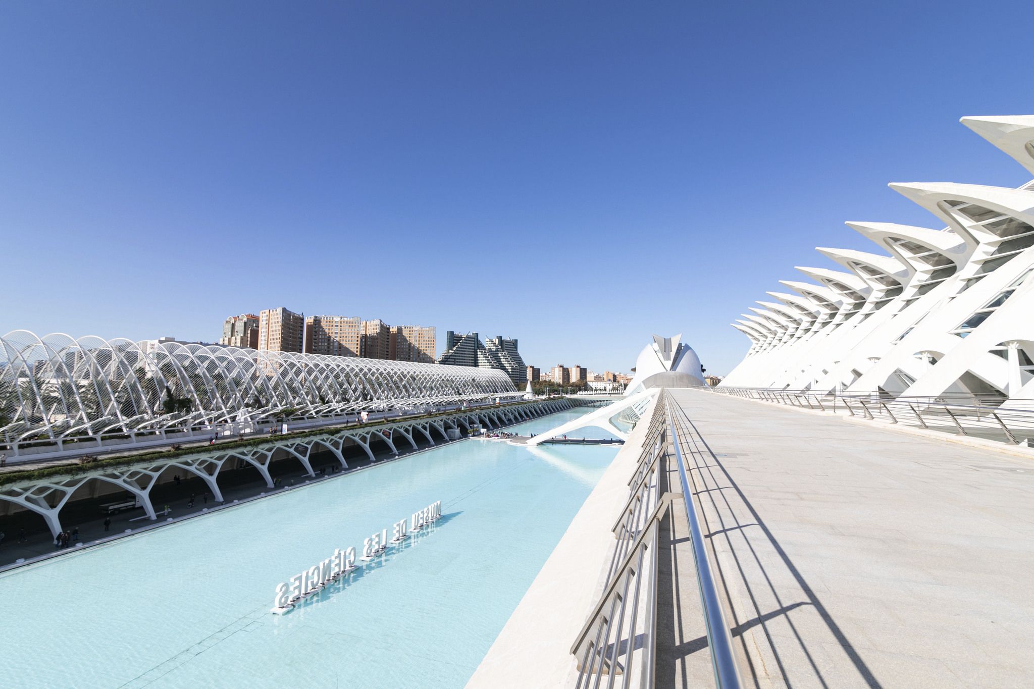 Ya está aquí el IRONMAN 70.3 Valencia.