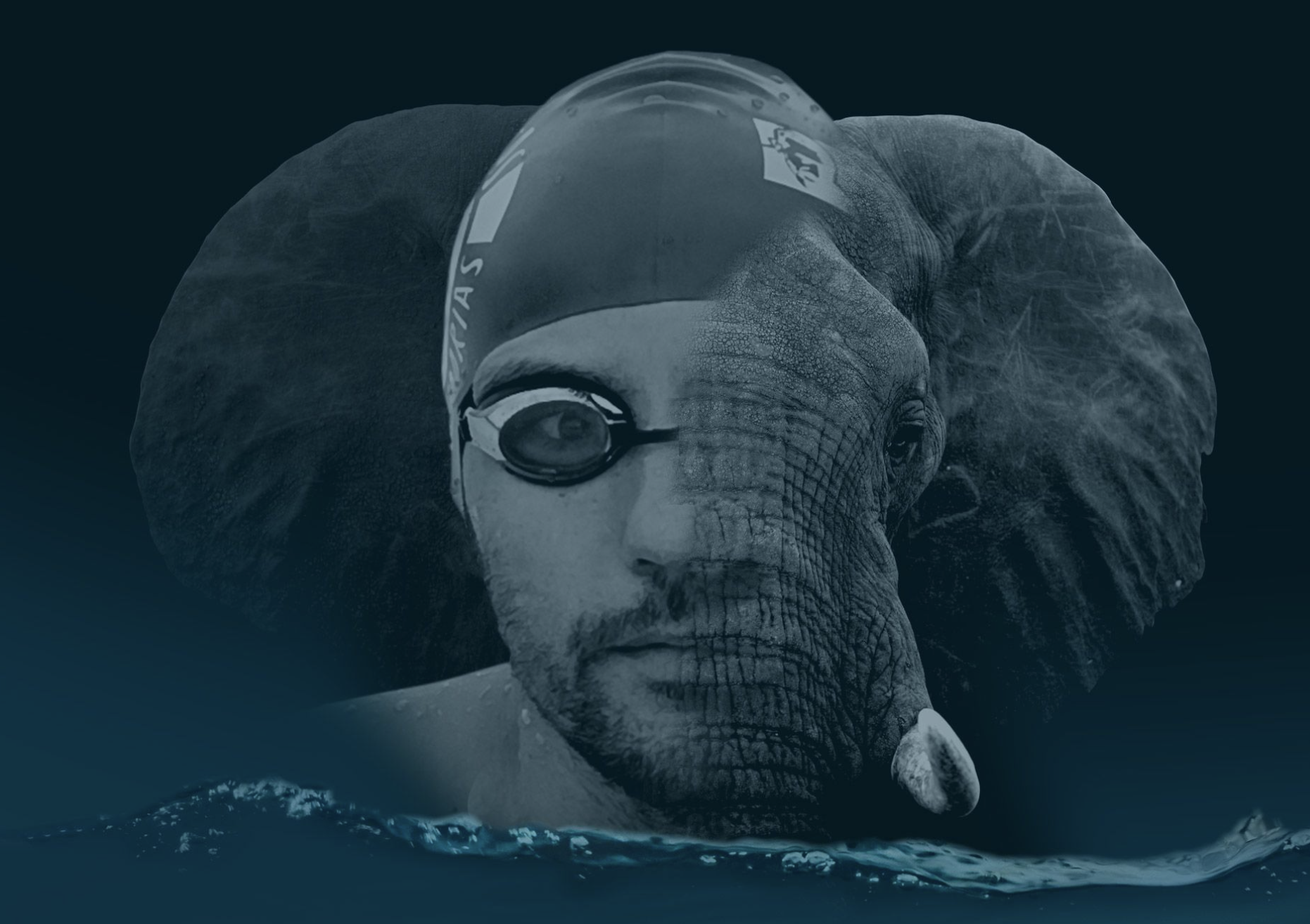 Captura de pantalla 2024 09 06 a las 11.17.21