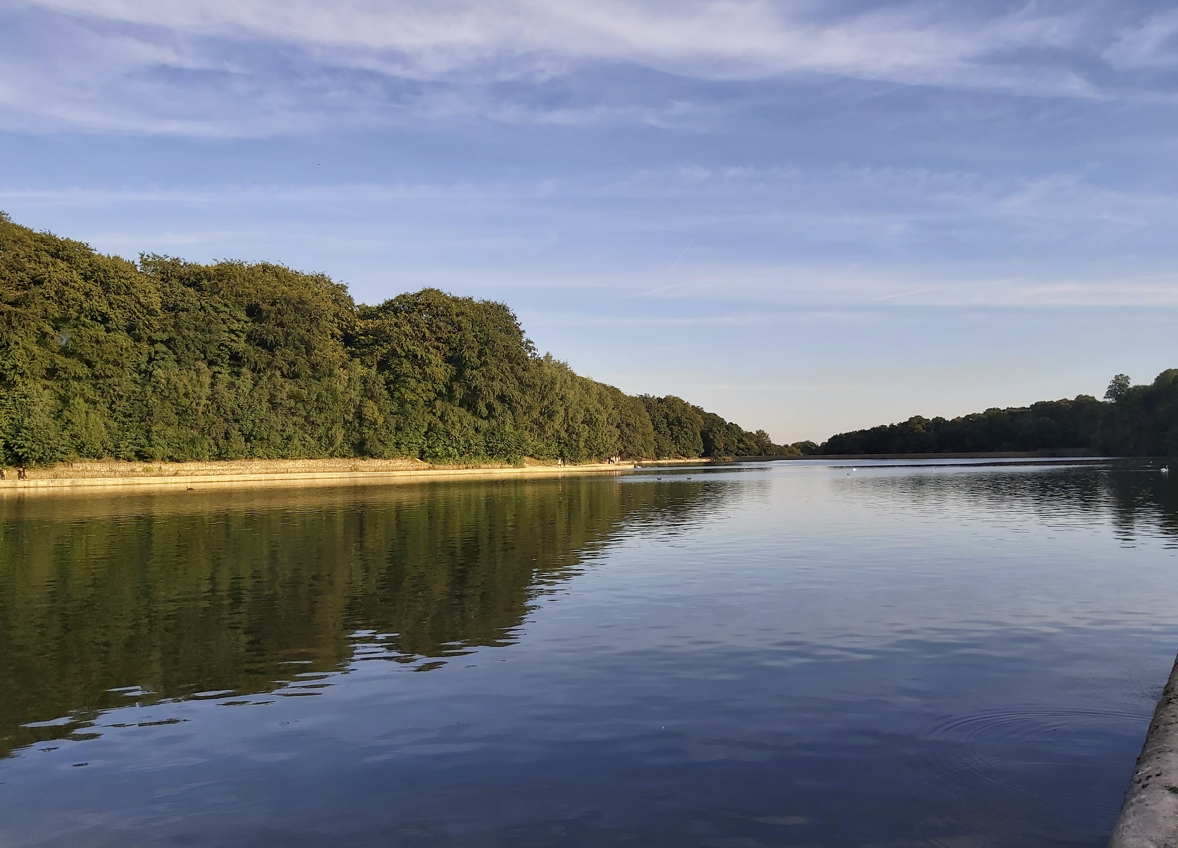 Captura de pantalla 2024 09 12 a las 14.09.37 Captura de pantalla 2024 09 12 a las 14.09.37