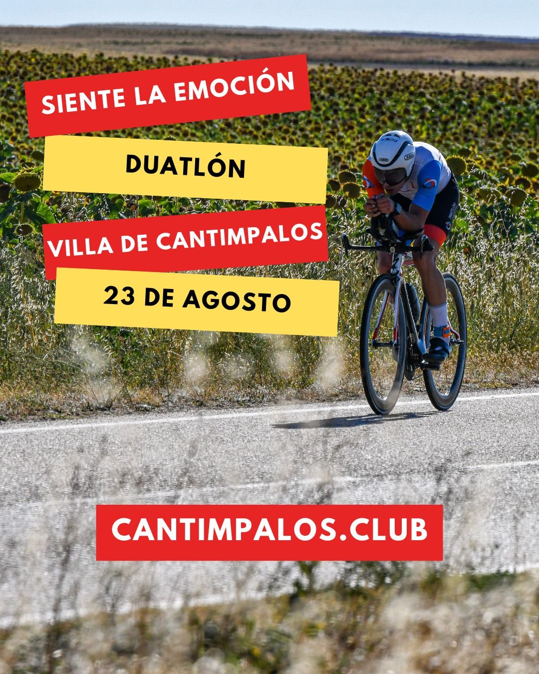 1378312000010677038 zc v1 1753168176646 cartel jimmy duvillacantimpalos 01