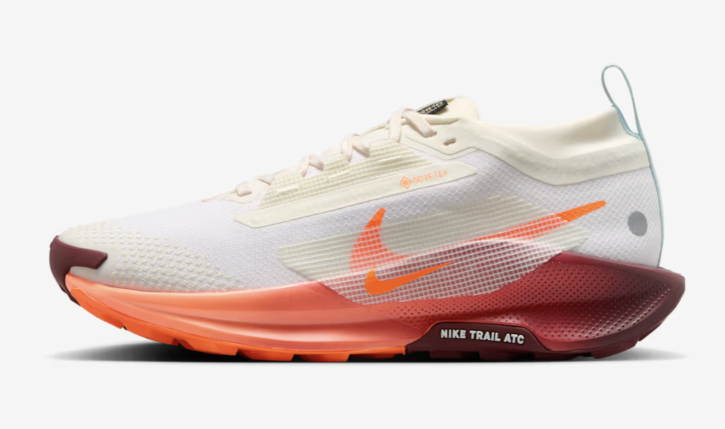 Nike Pegasus Trail 5 GORE TEXT mujer
