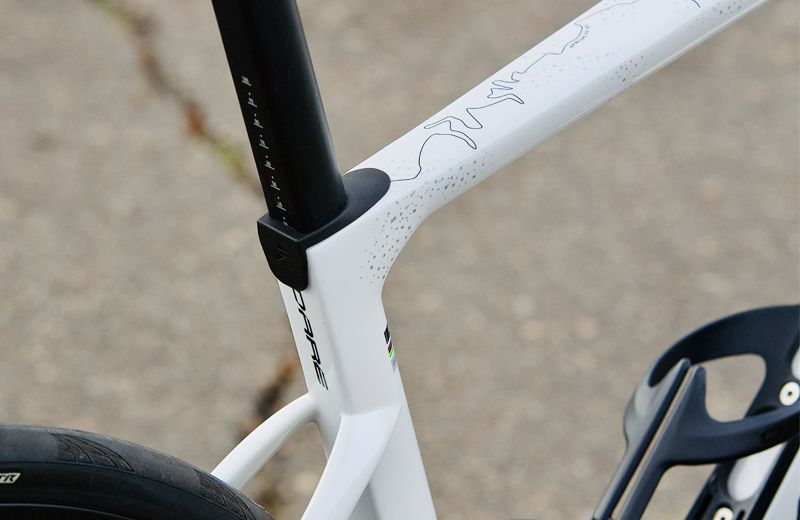 Plataforma MyDare Plataforma MyDare