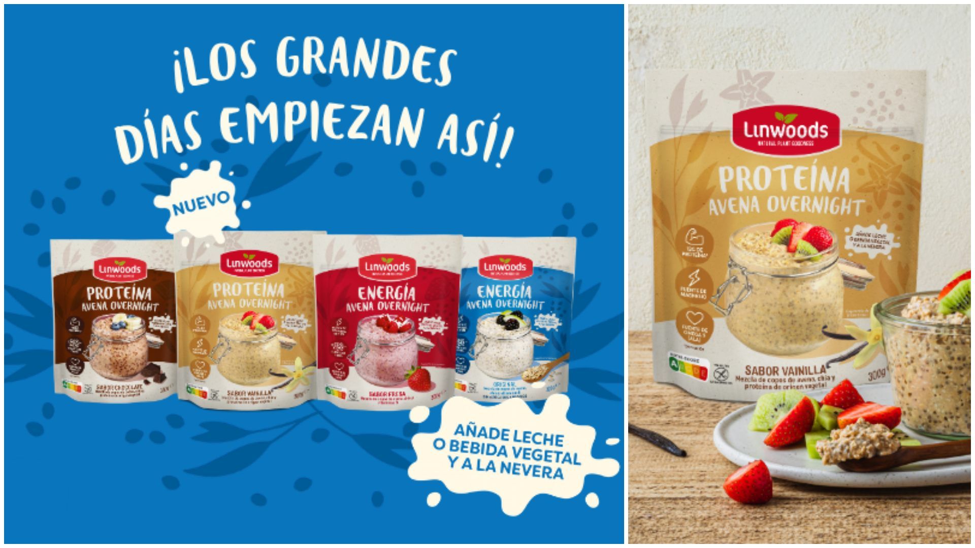 Copos de Avena Overnight Proteína sabor Vainilla.