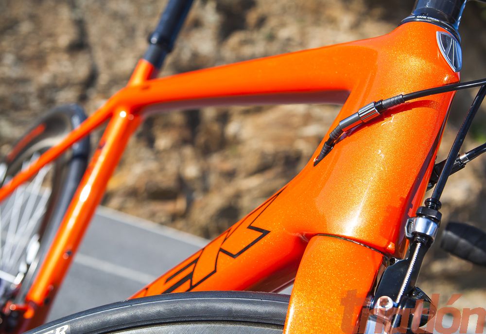 Trek Madone 6.9 Project One