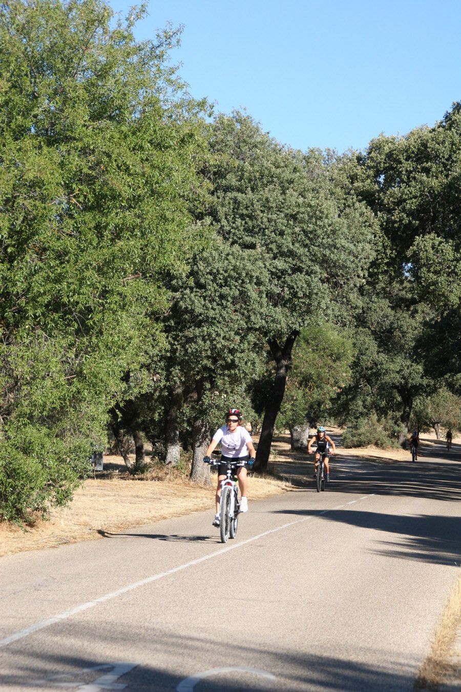 Triatlón Villa de Madrid 1