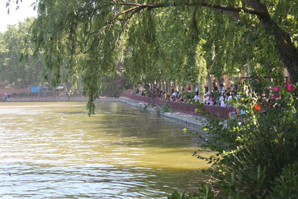 Triatlón Villa de Madrid 4