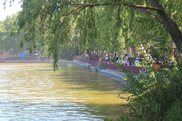 Triatlón Villa de Madrid 4