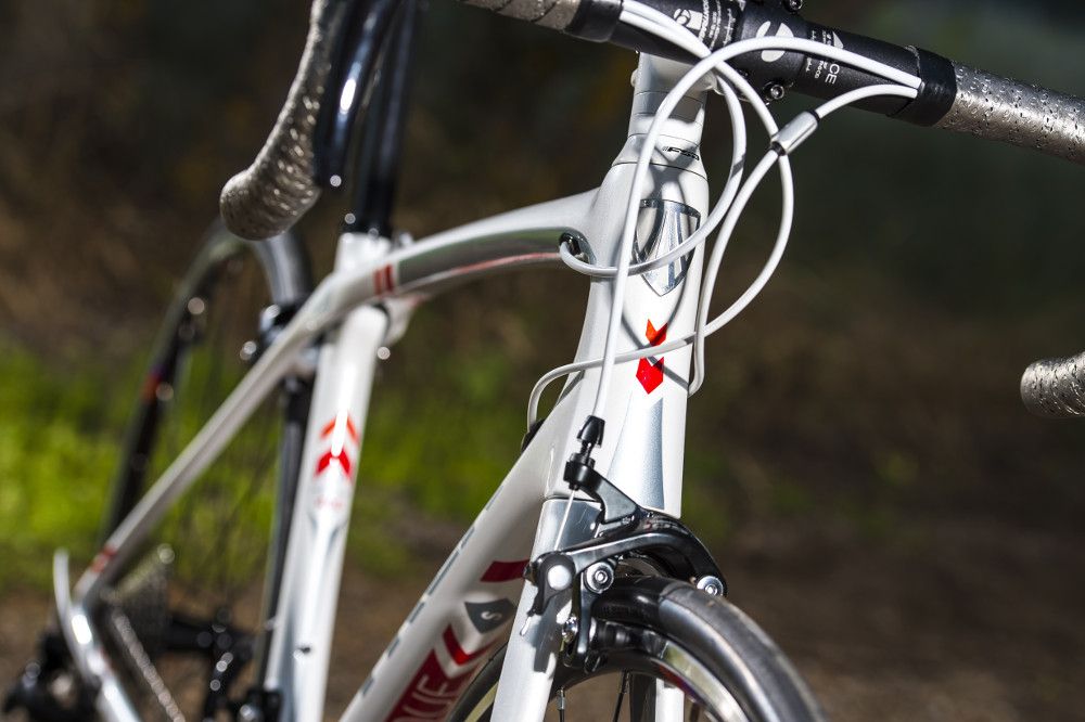 Trek Silque