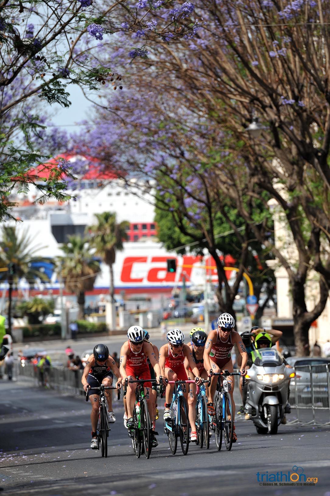 Copa del Mundo Triatlón Cagliari (II)