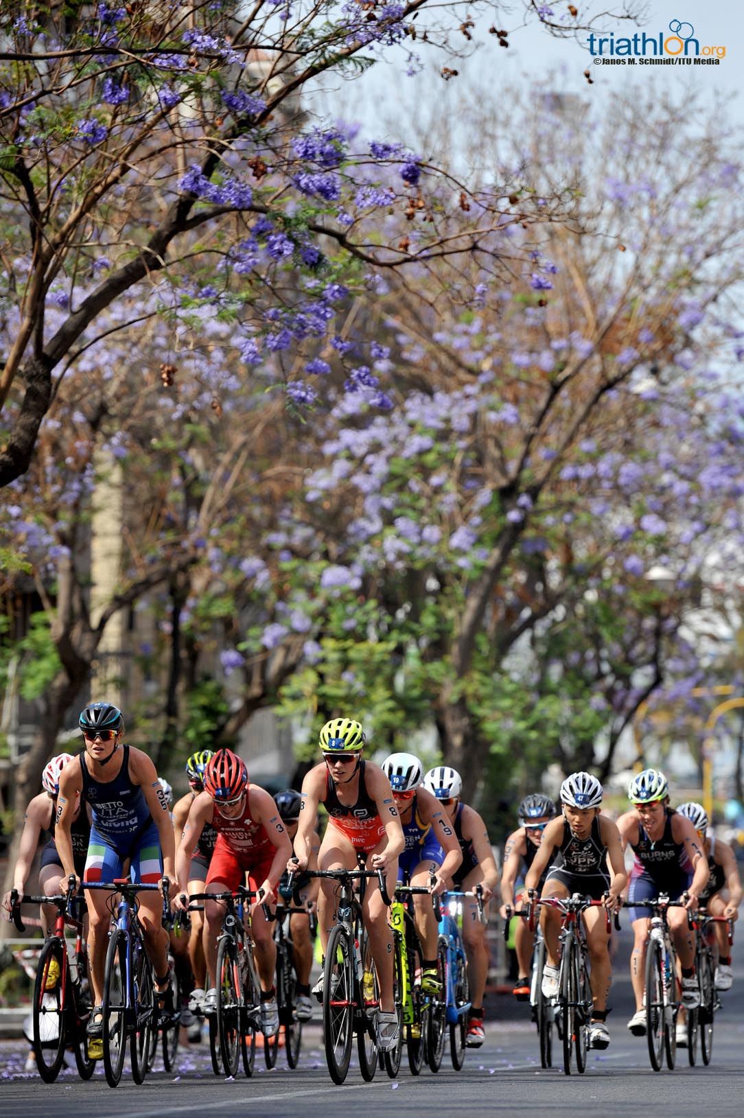 Copa del Mundo Triatlón Cagliari (II)
