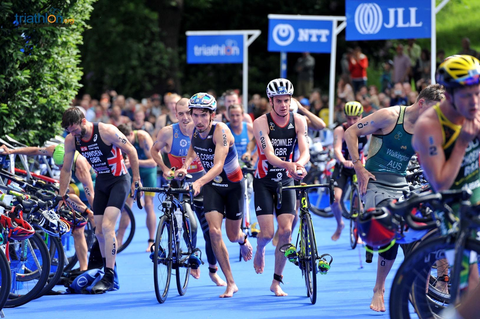 Series Mundiales Triatlón Leeds 2017