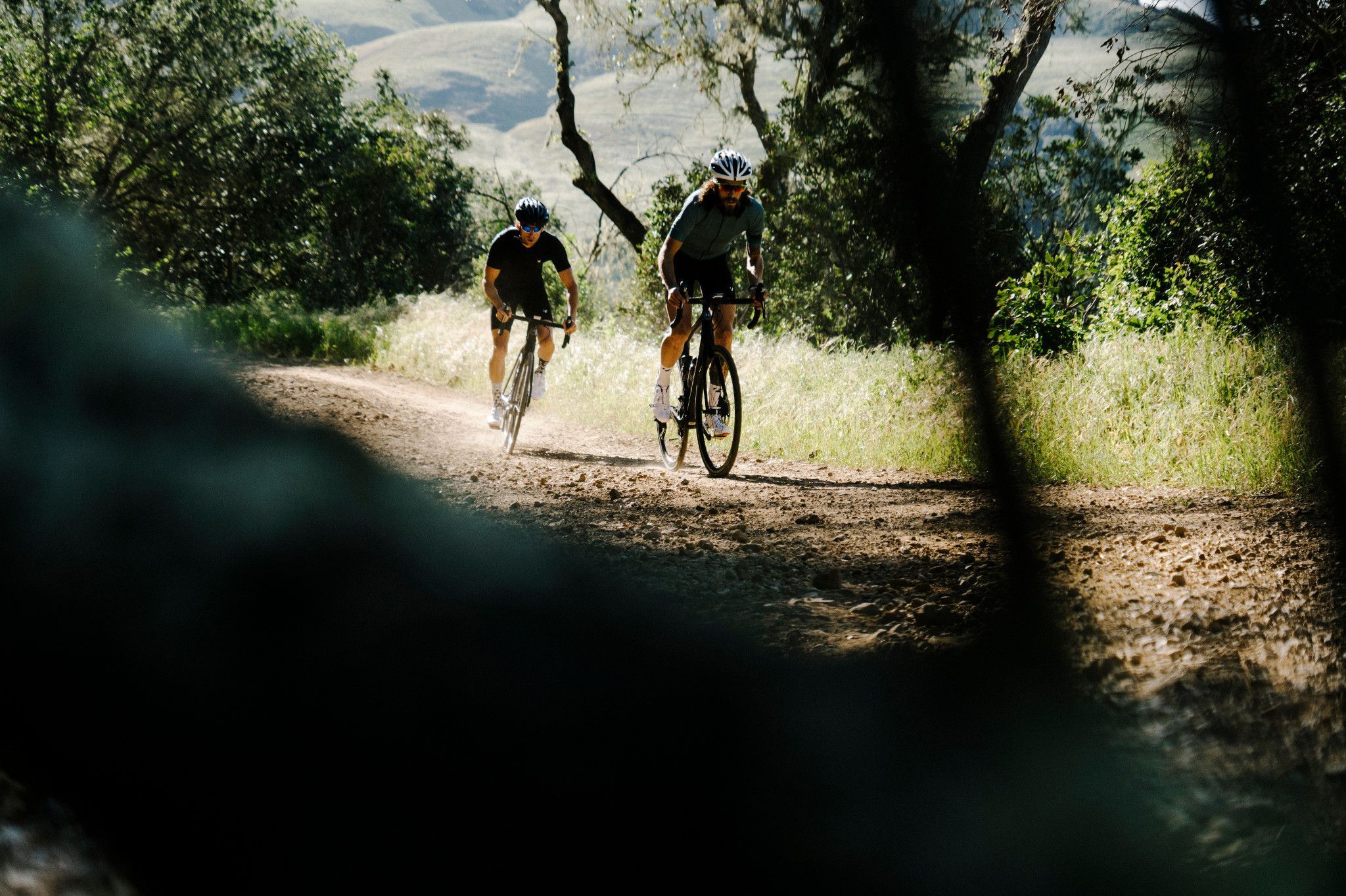 Émonda SLR 2017