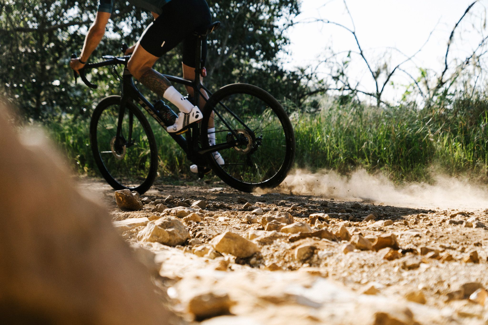 Émonda SLR 2017
