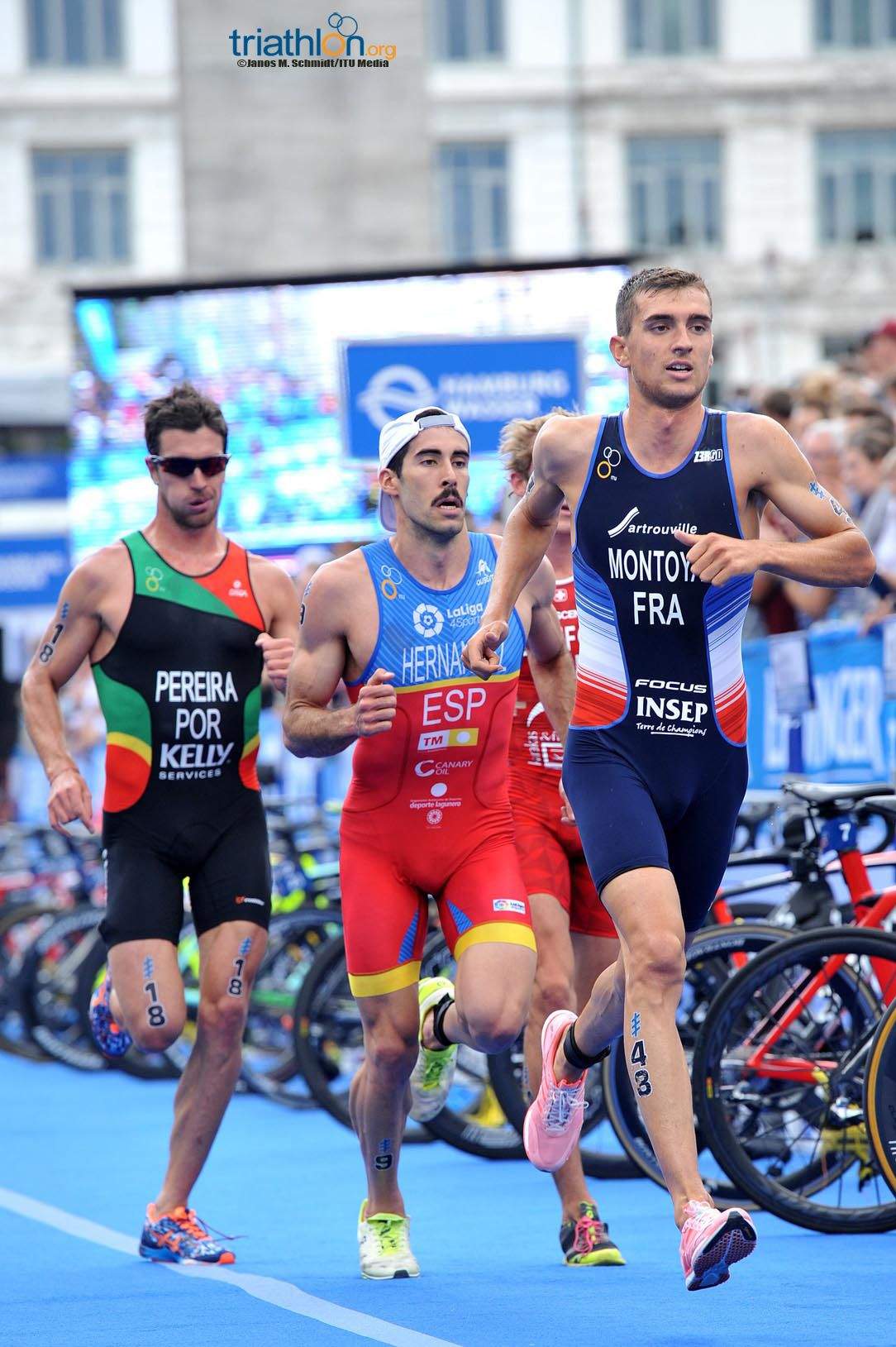 Series Mundiales Triatlón Hamburgo 2017