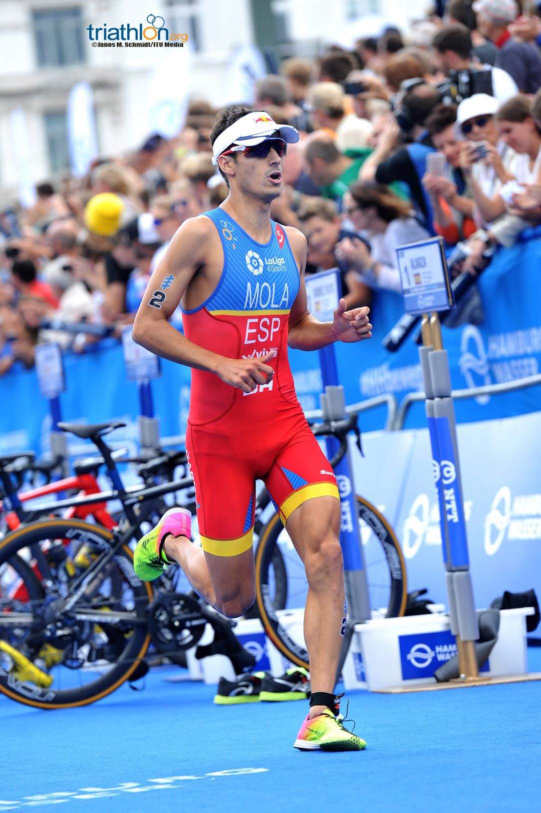 Series Mundiales Triatlón Hamburgo 2017