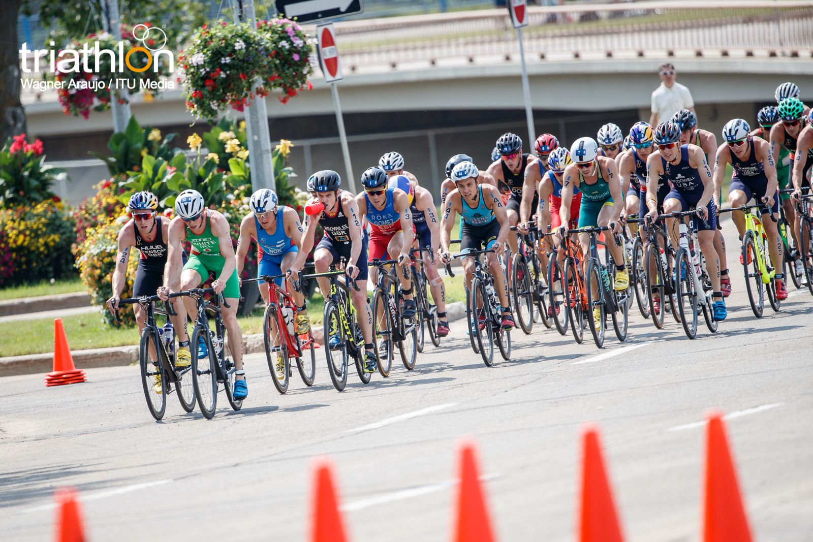 Series Mundiales Triatlón Edmonton 2017