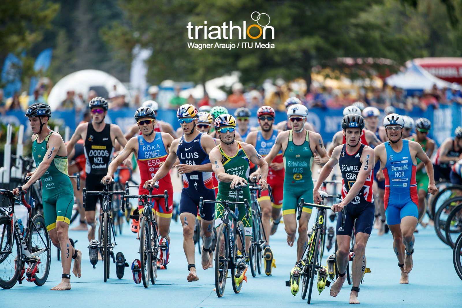 Series Mundiales Triatlón Edmonton 2017