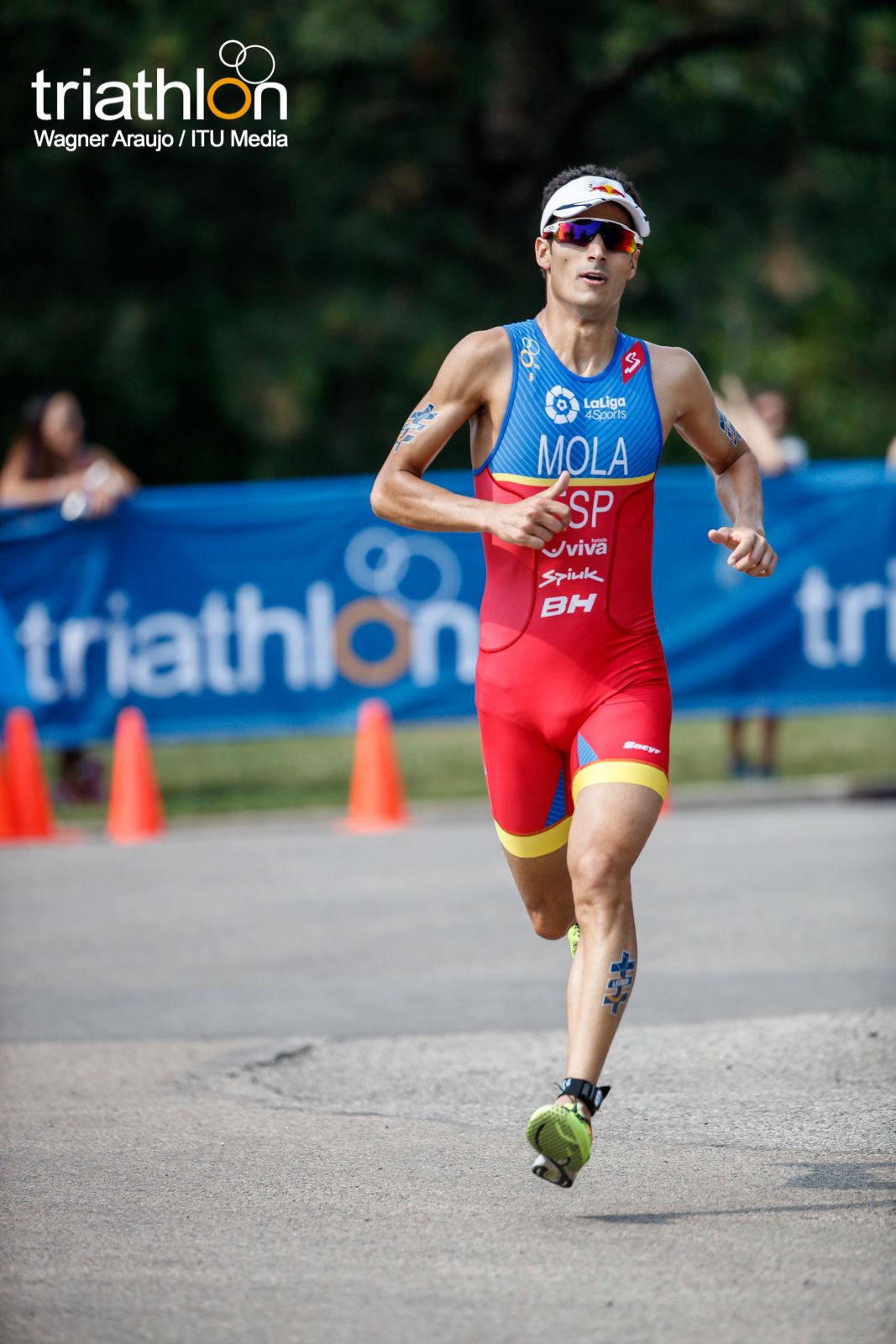 Series Mundiales Triatlón Edmonton 2017