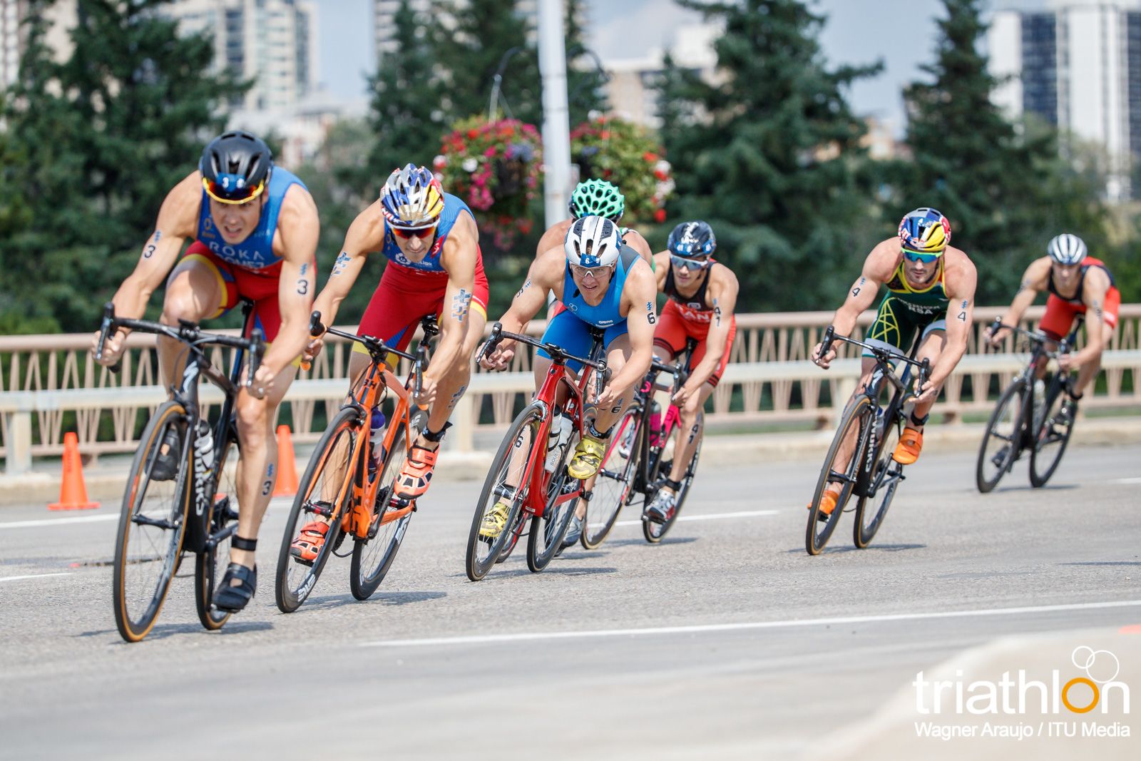 Series Mundiales Triatlón Edmonton 2017
