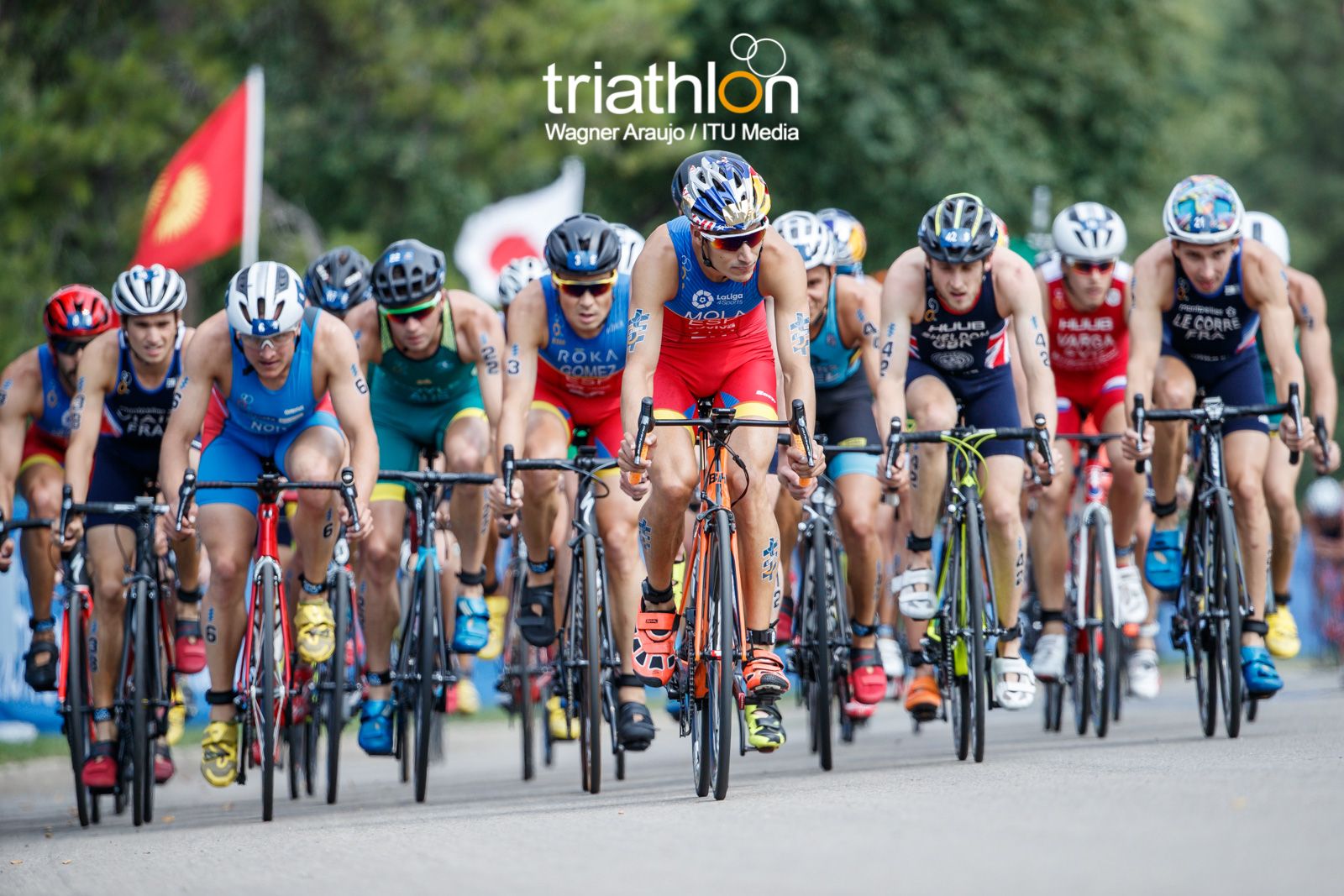 Series Mundiales Triatlón Edmonton 2017