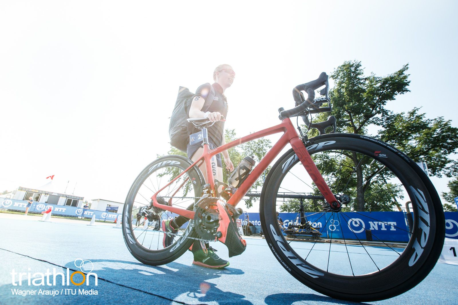 Series Mundiales Triatlón Edmonton 2017 (élite femenina)