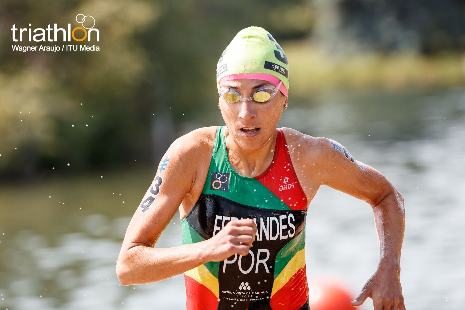Series Mundiales Triatlón Edmonton 2017 (élite femenina)