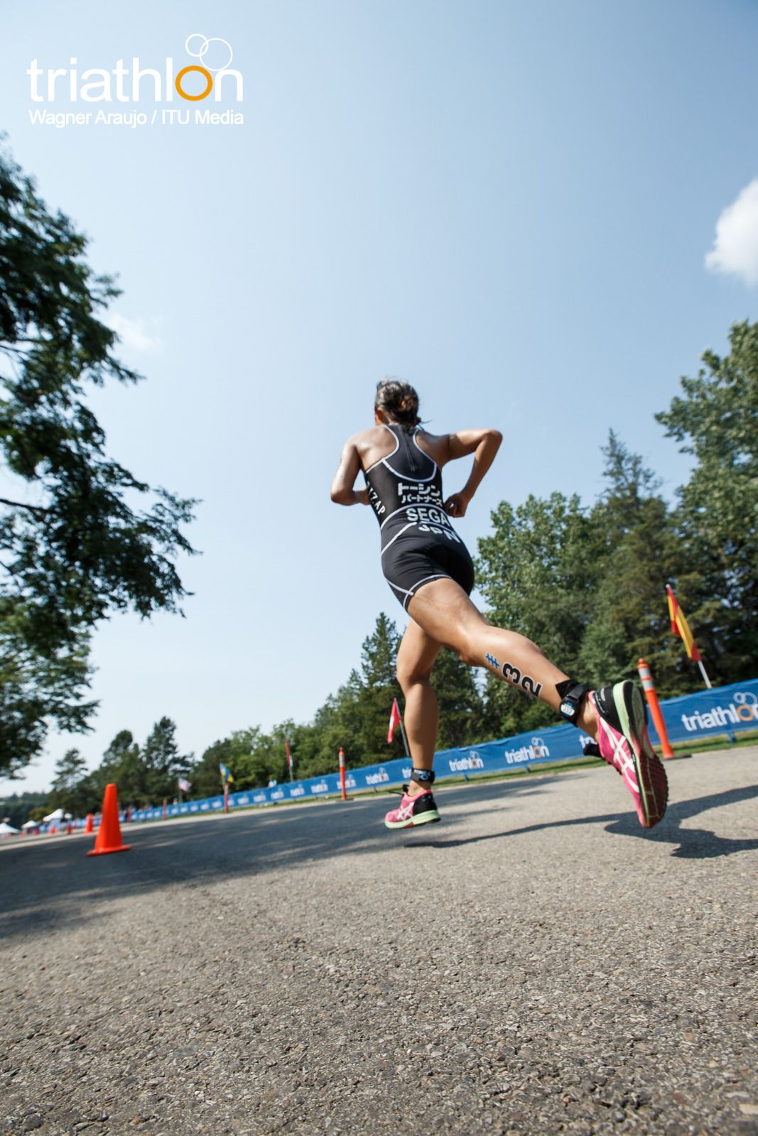 Series Mundiales Triatlón Edmonton 2017 (élite femenina)