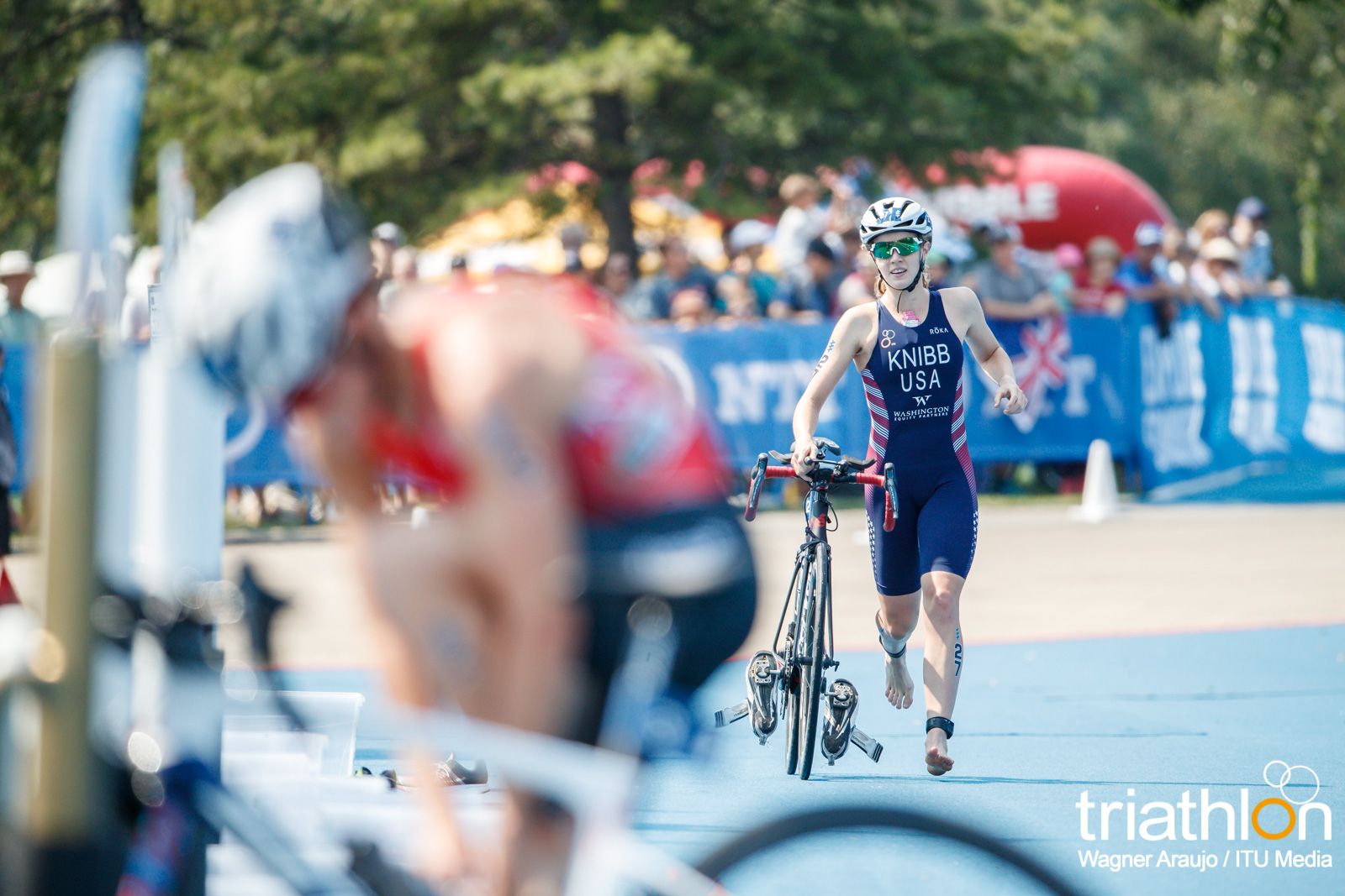 Series Mundiales Triatlón Edmonton 2017 (élite femenina)
