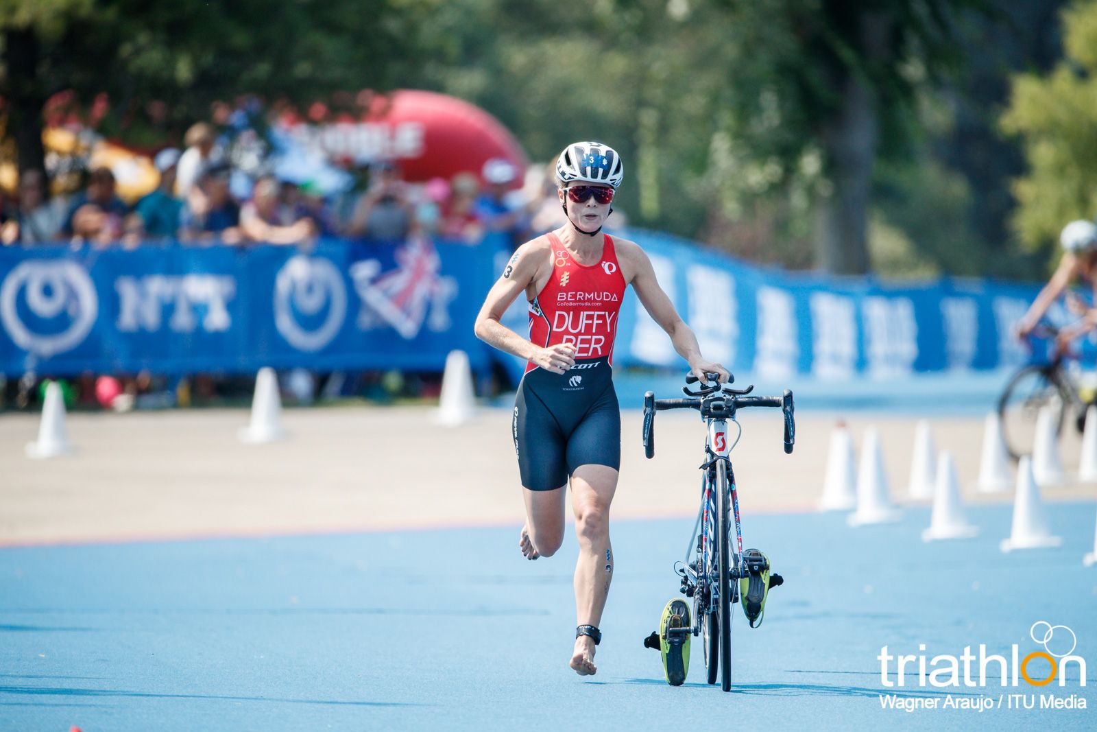 Series Mundiales Triatlón Edmonton 2017 (élite femenina)