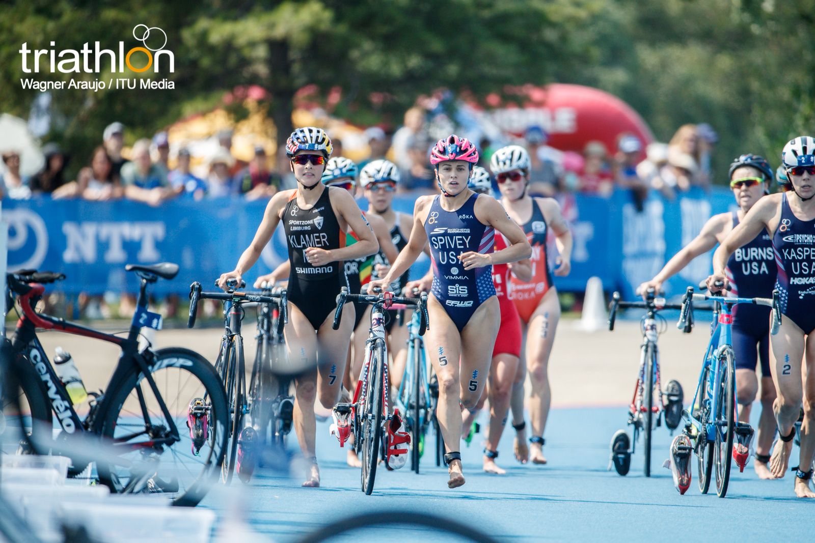 Series Mundiales Triatlón Edmonton 2017 (élite femenina)
