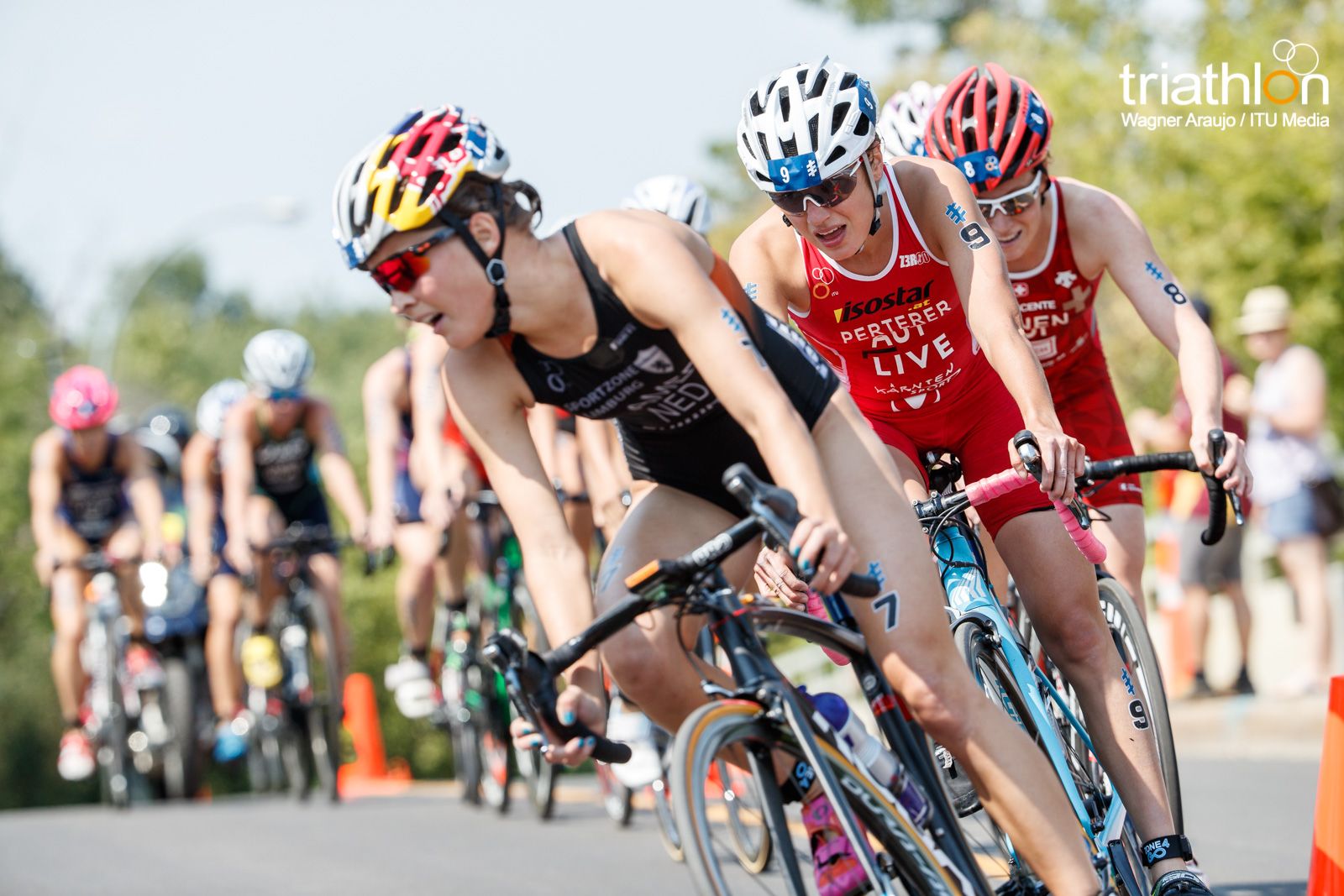 Series Mundiales Triatlón Edmonton 2017 (élite femenina)