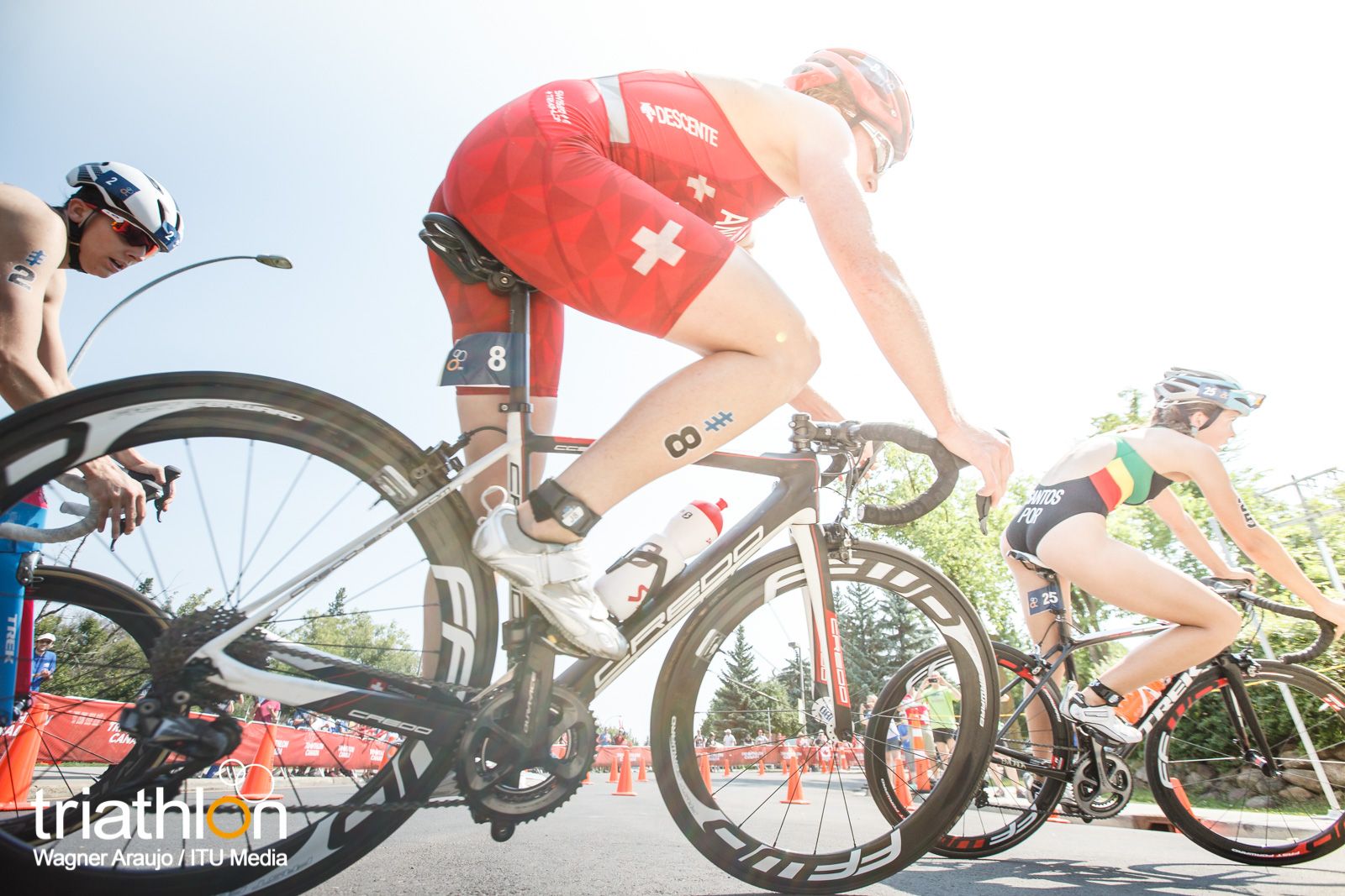 Series Mundiales Triatlón Edmonton 2017 (élite femenina)