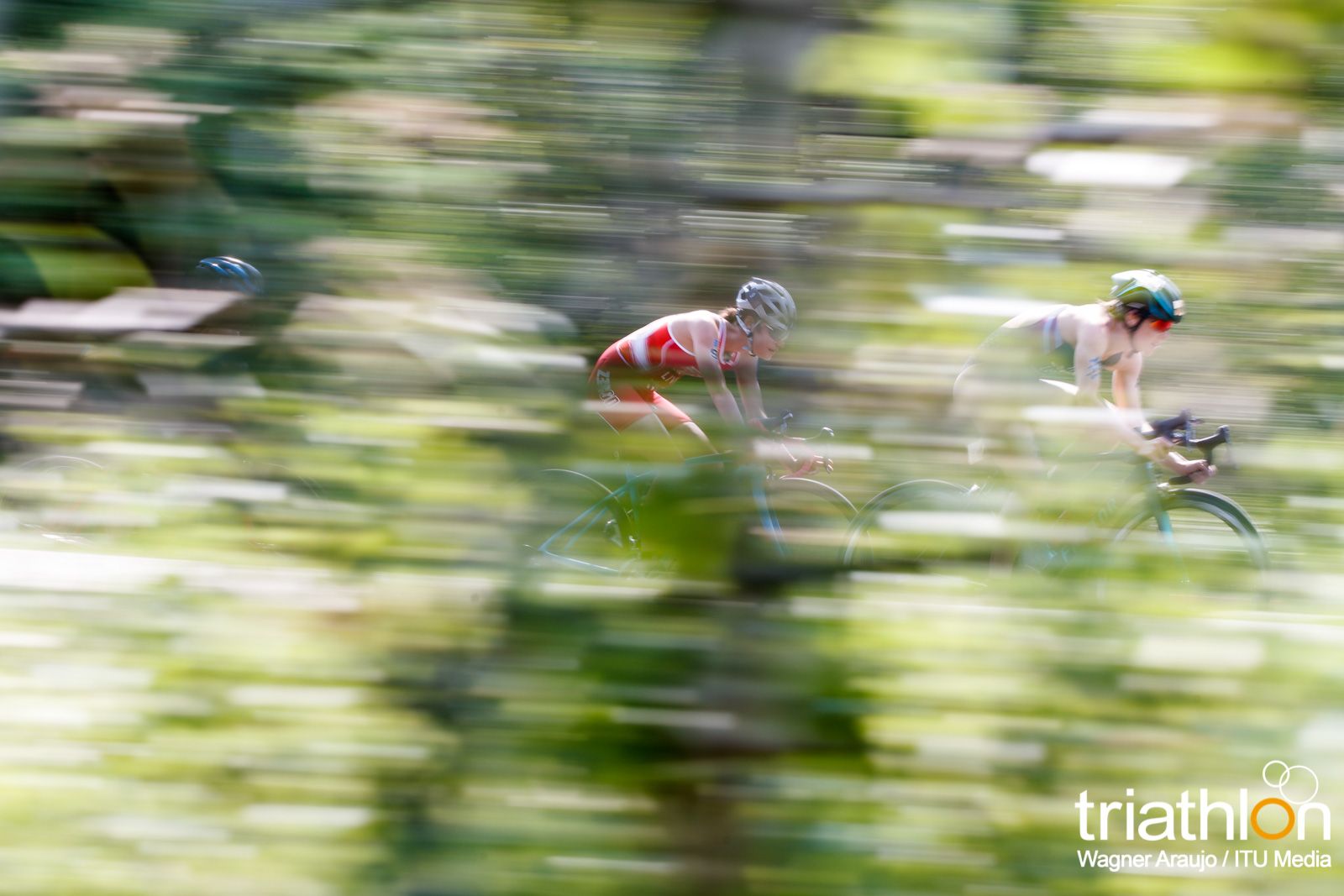 Series Mundiales Triatlón Edmonton 2017 (élite femenina)