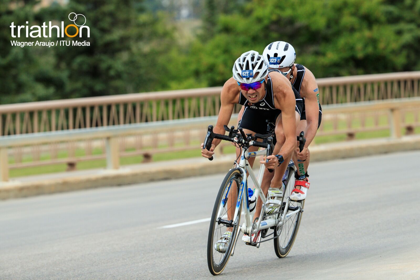 Series Mundiales Paratriatlón Edmonton 2017