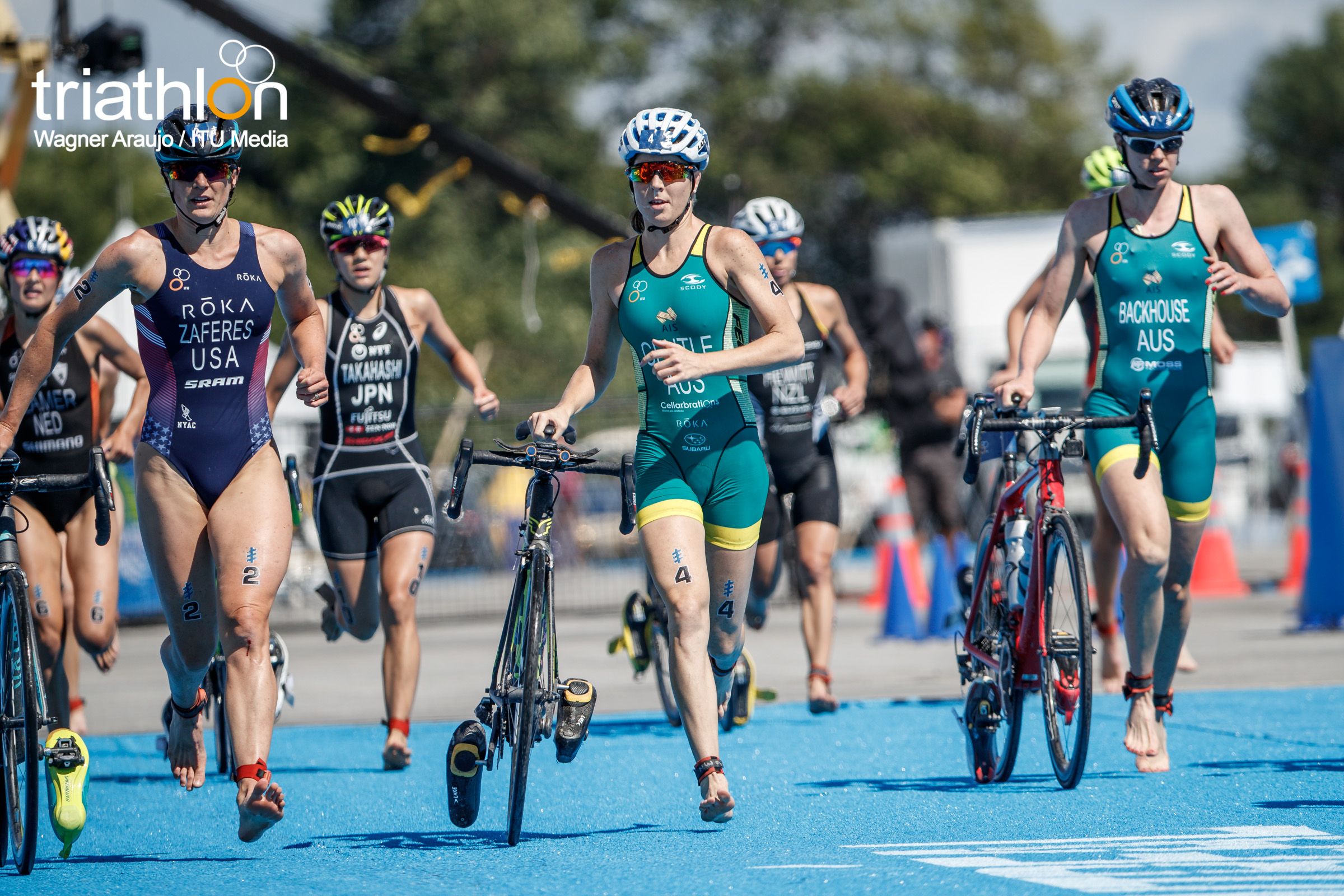 Series Mundiales Triatlón Montreal 2017 (élite femenina)
