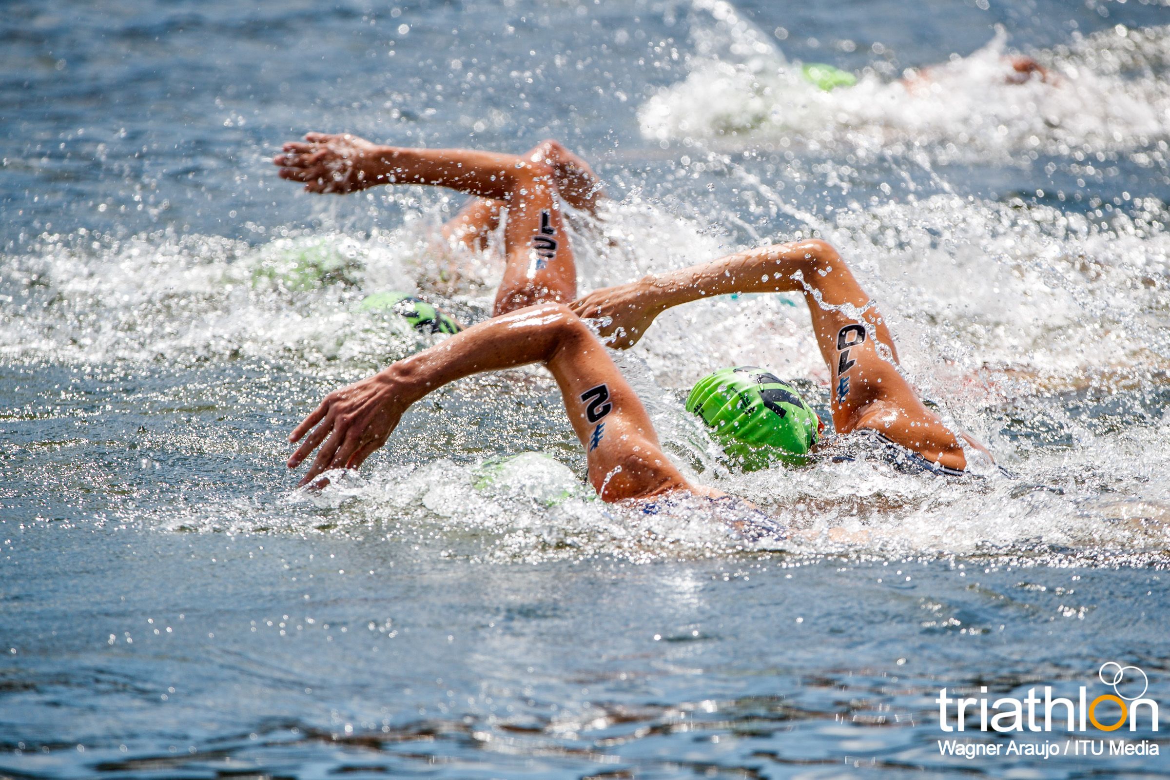 Series Mundiales Triatlón Montreal 2017 (élite femenina)