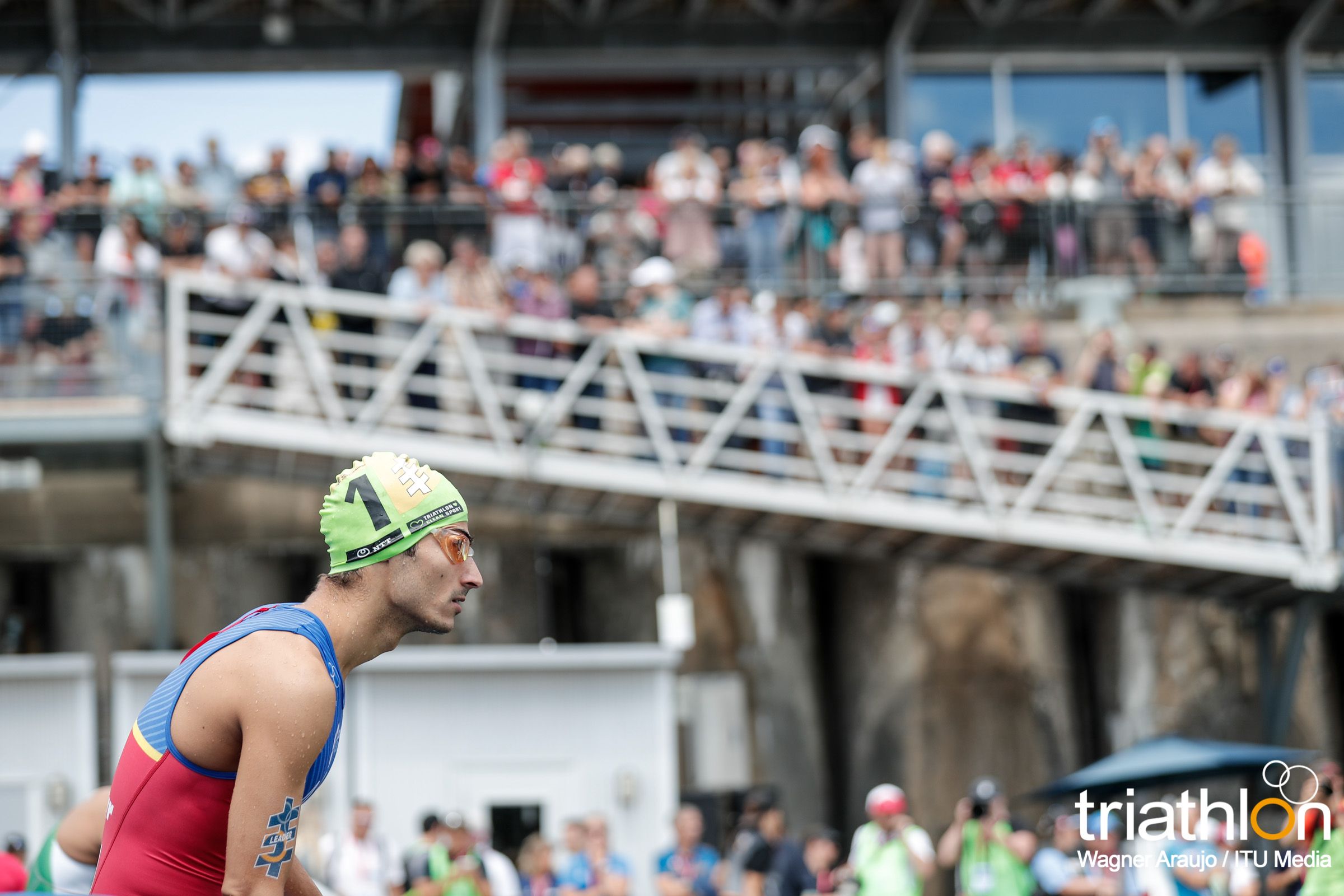 Series Mundiales Triatlón Montreal 2017
