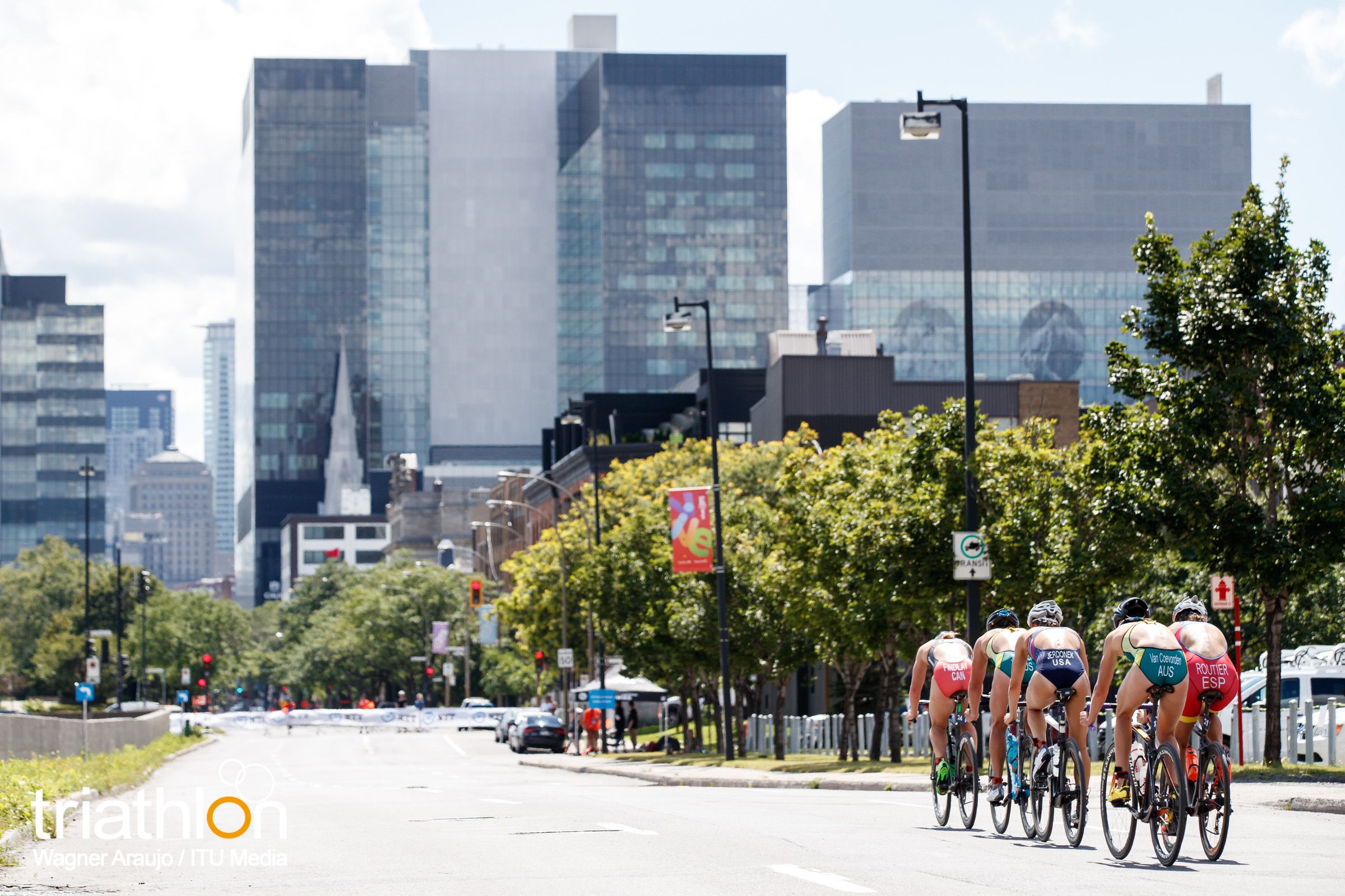 Series Mundiales Triatlón Montreal 2017 (élite femenina)