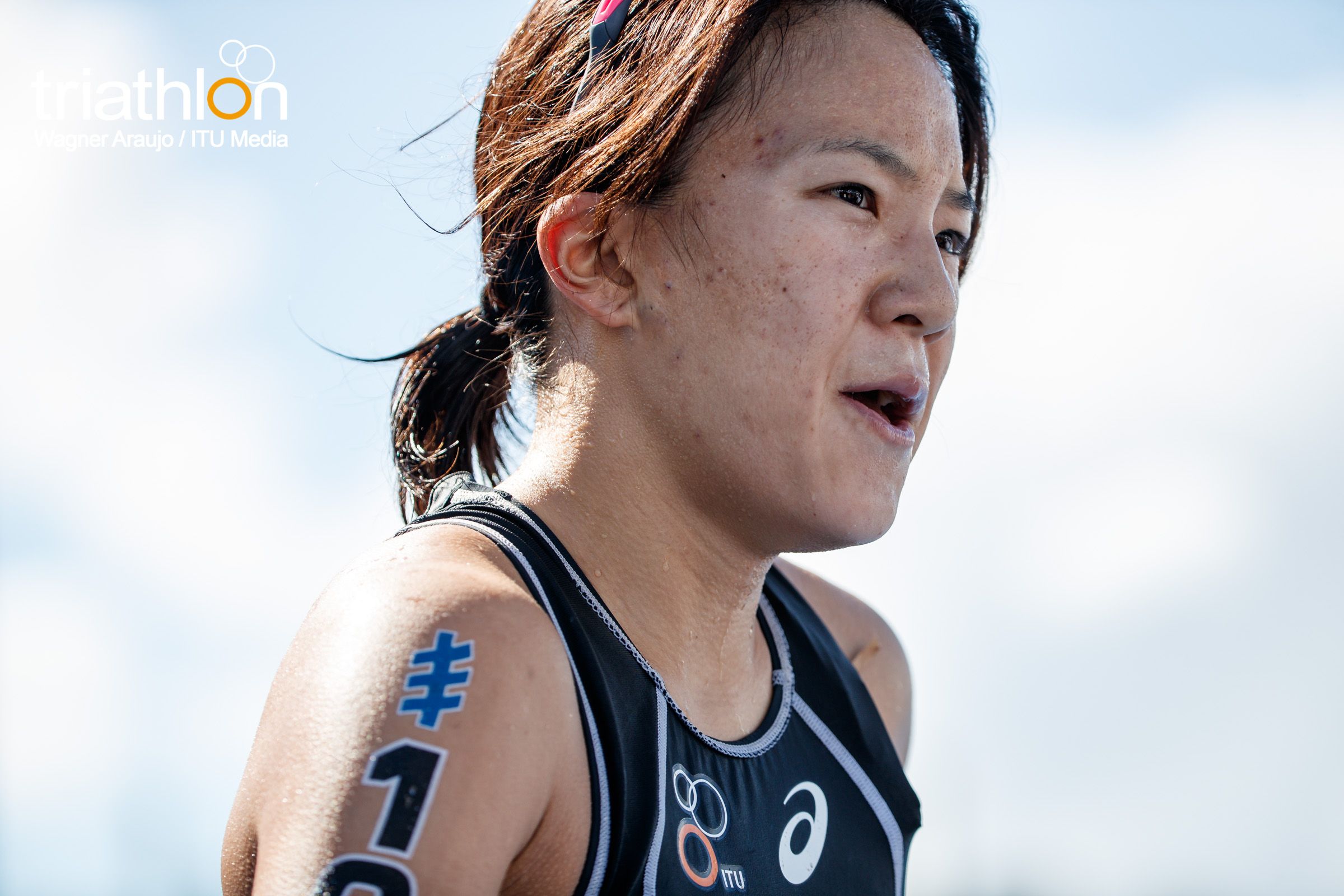 Series Mundiales Triatlón Montreal 2017 (élite femenina)