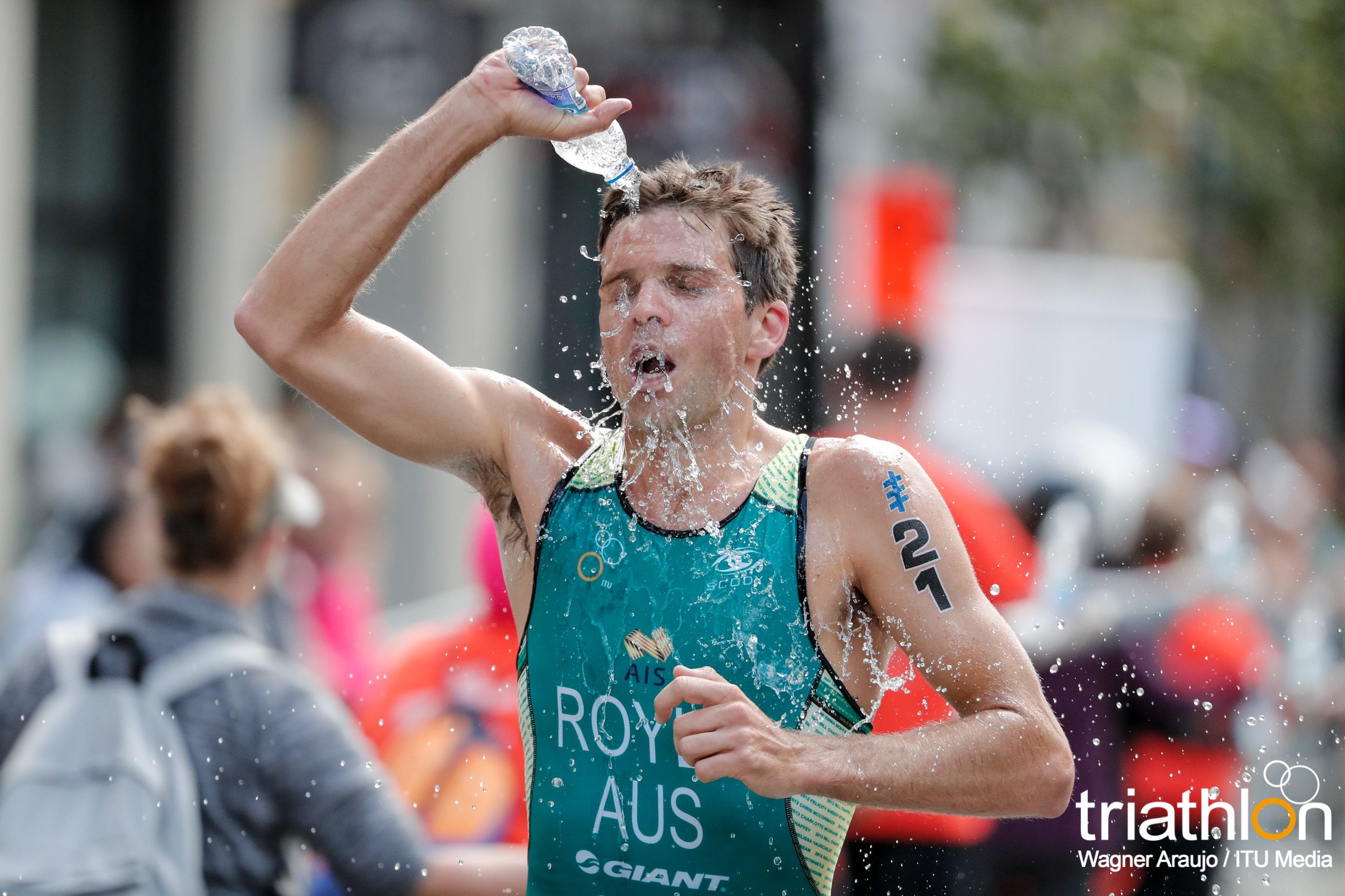 Series Mundiales Triatlón Montreal 2017